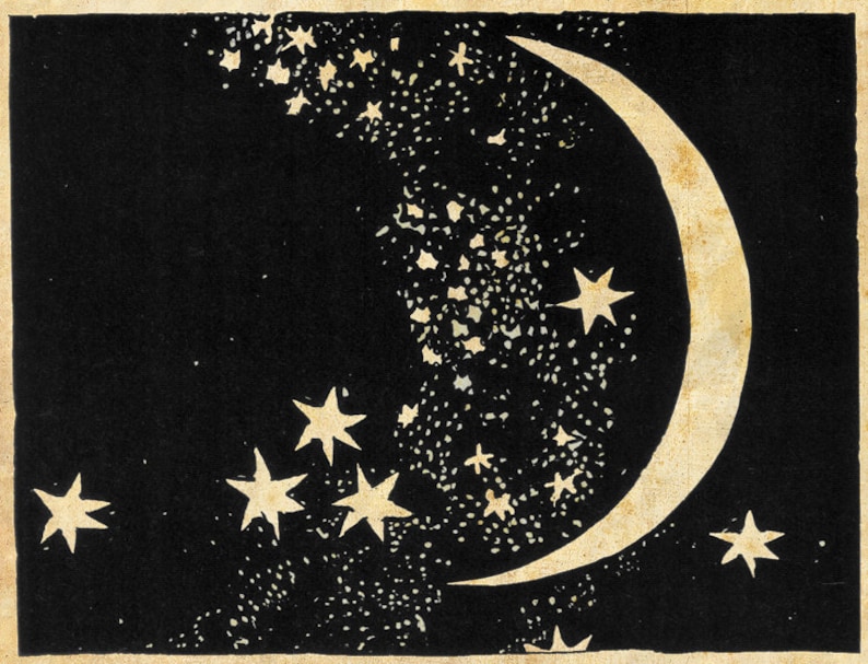 Moon and Stars Art Print Elegant Paper Cut Night Sky Black and White Sepia Natural History Papercut Illustration Outer Space Art image 2