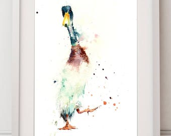 Runner duck print, limited edition,  (ref:3162) watercolour painting print hand signed, illustration, animal bird wildlife, farmyard  art