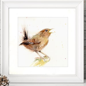 Wren bird, LIMITED edition print, wall art, home decor, nursery art, wildlife animal art.  hand signed, illustration, animal art
