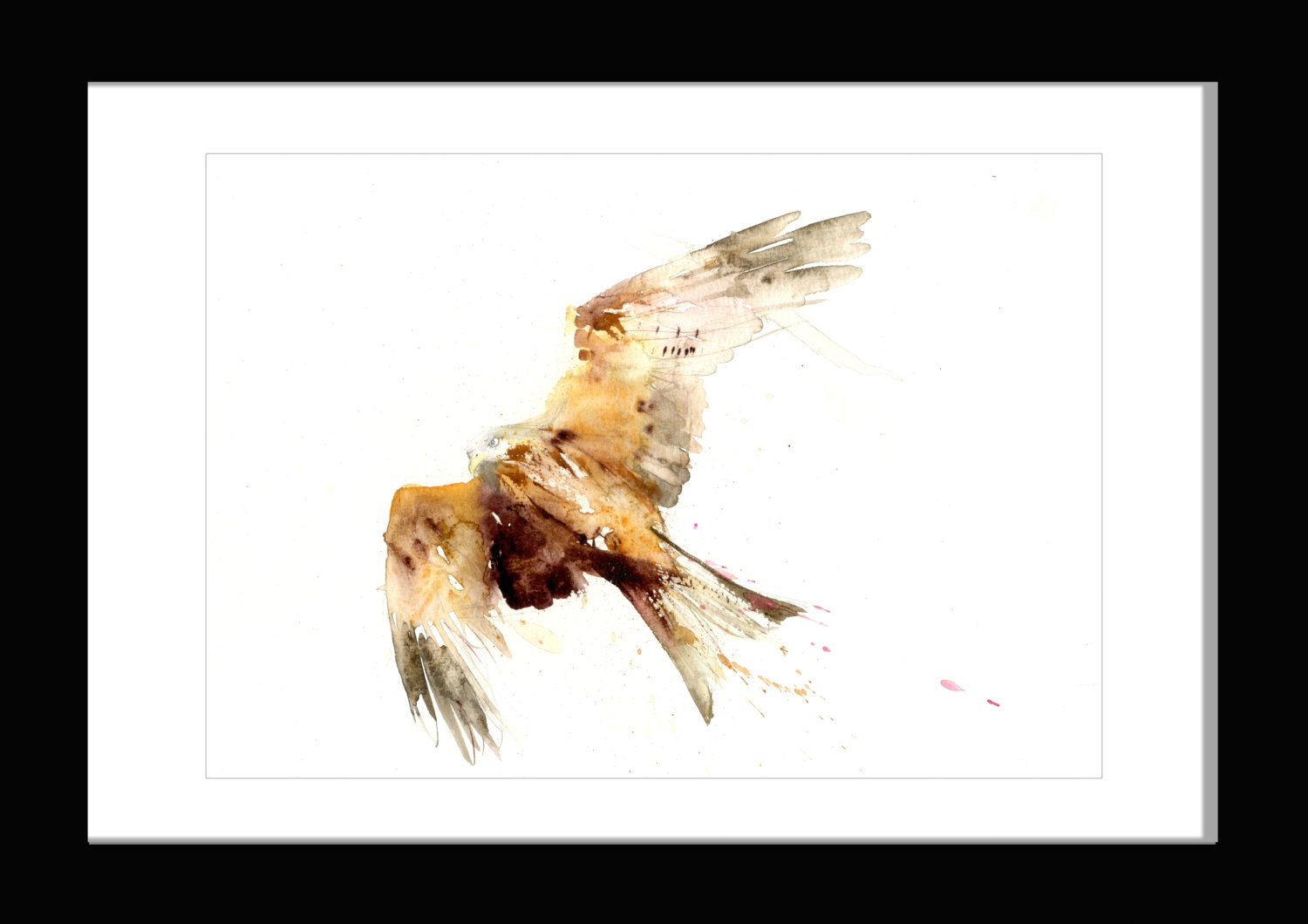Red kite wildlife art, flying bird, hand signed print, wildlife art  illustration, bird art, bird lover gift, home office decor art print
