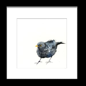 Blackbird Watercolor Print: Limited Edition Bird Art