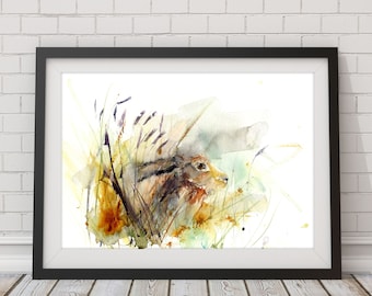 Hare watercolour print. Beautiful animal art.