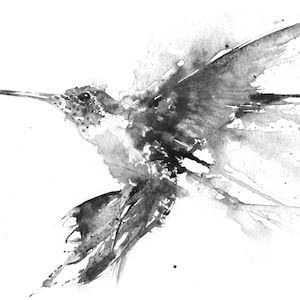 Black and white hummingbird watercolour print, watercolour painting,, nursery art, wildlife animal art.  hand signed, illustration, bird art