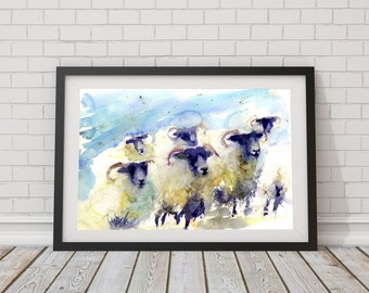 LIMITED edition print of  watercolour  SHEEP 1888wall art, home decor, nursery art, wildlife animal art.  hand signed