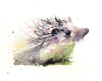 Hedgehog print, limited  edition print of my  HEDGEHOG  Printed  on archival quality 315 gsm paper.  hand signed, illustration, animal art