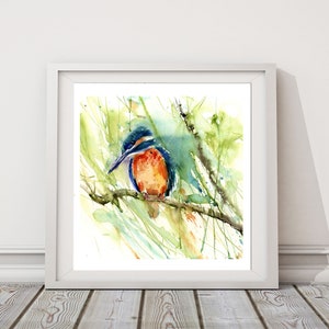 Impression en édition LIMITÉE de mon « KINGFISHER » signée à la main, illustration, art animalier