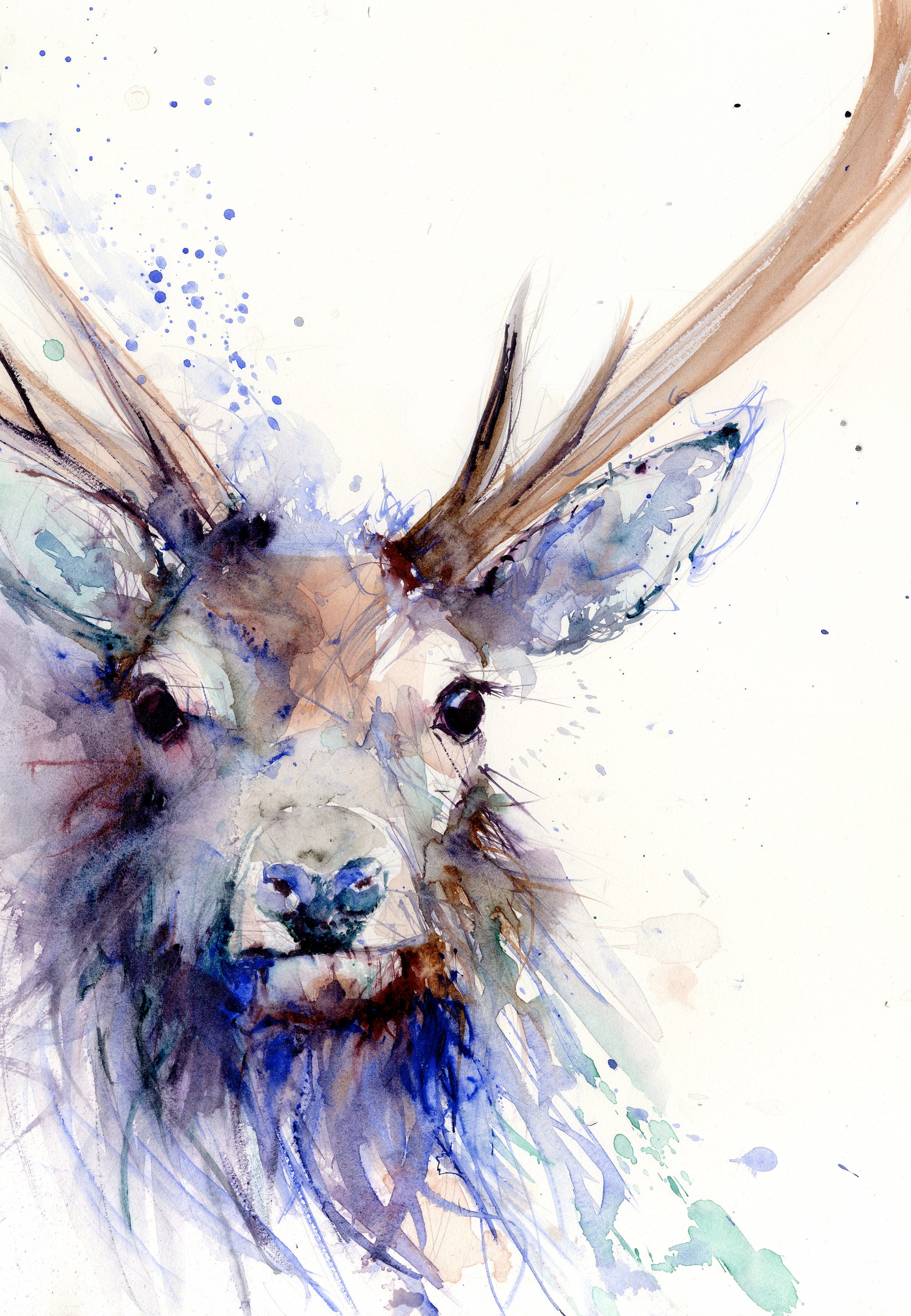 Stag print stag art stags wall artlimited edition print Etsy
