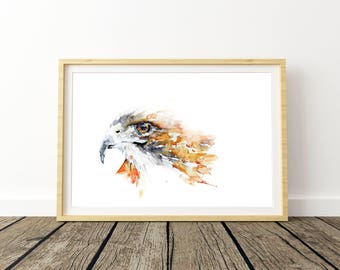 Hawk print, eagle print, bird art, watercolour painting, signed print,