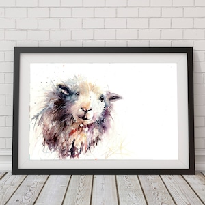 Limited Edition Herdwick-schapenprint: gesigneerde aquarel dierenkunst