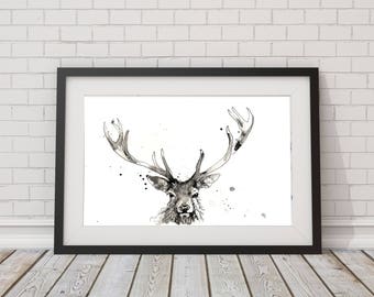 Stag print, stag art,   stags wall art,limited edition print, wildlife animal art, hand signed