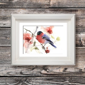 Bullfinch bird watercolour limited edition print hand signed, illustration, animal art. British wildlife art print, home decor, nursery art
