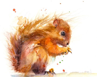 LIMITED edition print of my RED SQUIRRELwall art, home decor, nursery art, wildlife animal art.  hand signed, illustration, animal art