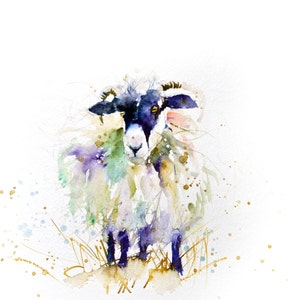 LIMITED edition print of SHEEP 1455 wall art, home decor, nursery art, wildlife animal art. hand signed, illustration, animal art image 1