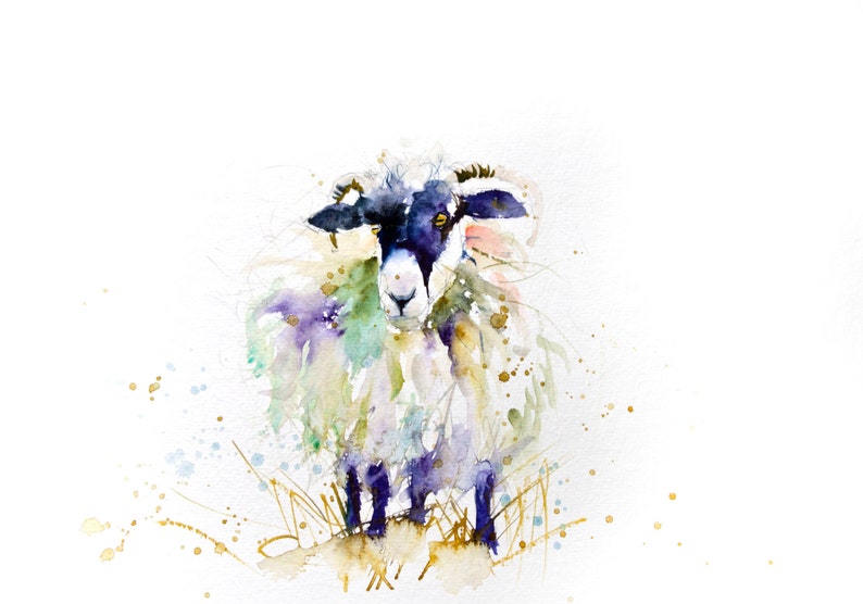 LIMITED edition print of SHEEP 1455 wall art, home decor, nursery art, wildlife animal art. hand signed, illustration, animal art image 1