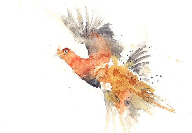 home decor LIMITED edition PRINT /'red GROUSE/' wall art animal art wildlife animal art hand signed illustration nursery art