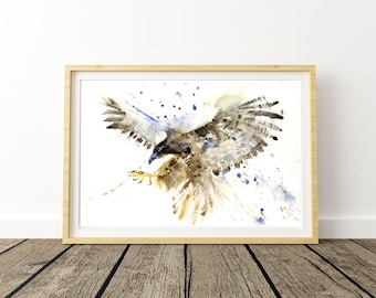 Hawk print, eagle print, bird art, watercolour painting, signed print,