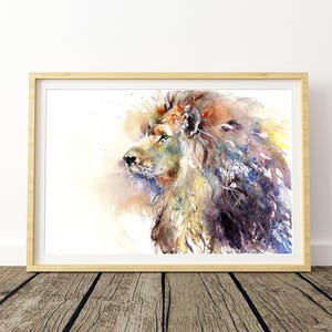 limited edition of 250 prints of my  ASIATIC LION  on archival 315 gsm paper.  hand signed, illustration, animal art