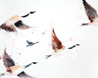 Impressão de ganso do Canadá: arte de pássaro em aquarela de edição limitada