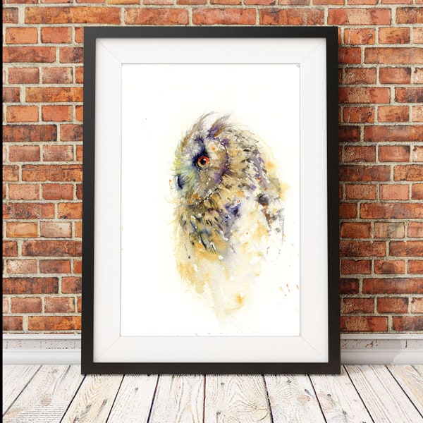 Limited Edition Owl Print, Signed Watercolor Illustration, Animal Art