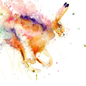 Hare watercolour print. Beautiful animal art.