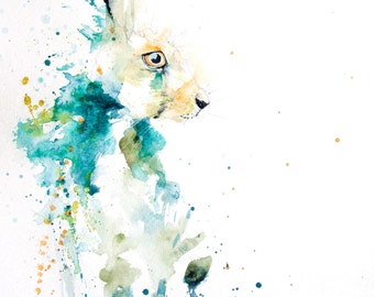 Hare watercolour print. Beautiful animal art.