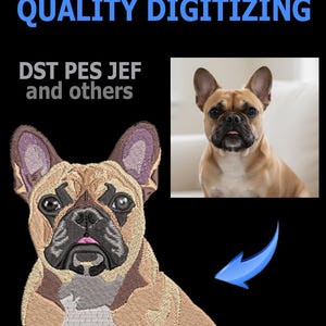 Puede incluir: Imagen de un diseño bordado de un bulldog francés, con una foto realista de un bulldog francés en la esquina superior derecha. El texto "QUALITY DIGITIZING" está en la parte superior, con "DST PES JEF and others" debajo.