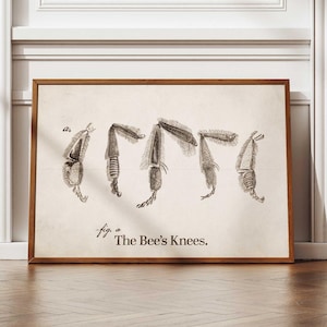 Può includere: Una stampa artistica da parete rettangolare incorniciata che presenta una serie di cinque dettagliate illustrazioni anatomiche in bianco e nero di zampe di insetti su sfondo crema, con il testo "fig. a The Bee's Knees." stampato in nero al centro in basso.
