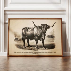 May include: A vintage illustration of a black bull with large horns standing in a field. The quote "Where there are no oxen, the manger is empty, but an abundant harvest comes through the strength of the ox - Proverbs 14:4" is printed below the image.