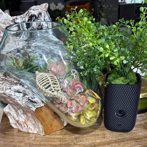 May include: A clear glass terrarium with a driftwood base, filled with succulents and decorative elements. A small black planter with greenery and a gold-lidded jar are also present, creating a natural, decorative display.