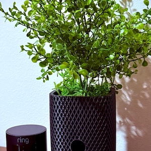 May include: A dark purple, cylindrical security camera and a matching decorative planter with a diamond pattern. The planter holds a vibrant green plant. The security camera has the brand name "ring" printed on it.