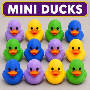 May include: A collection of twelve small rubber ducks arranged in a four-by-three grid. The ducks are colored purple, yellow, green, and blue, each featuring black eyes and an orange beak. Above the ducks, a purple banner displays the text MINI DUCKS.