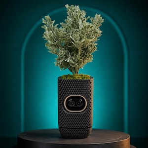 May include: A small green leafy plant potted in a black cylindrical container with a textured diamond-patterned exterior. The container features a central horizontal oval cutout with a dark lens-like insert framed by a thin metallic gold border.