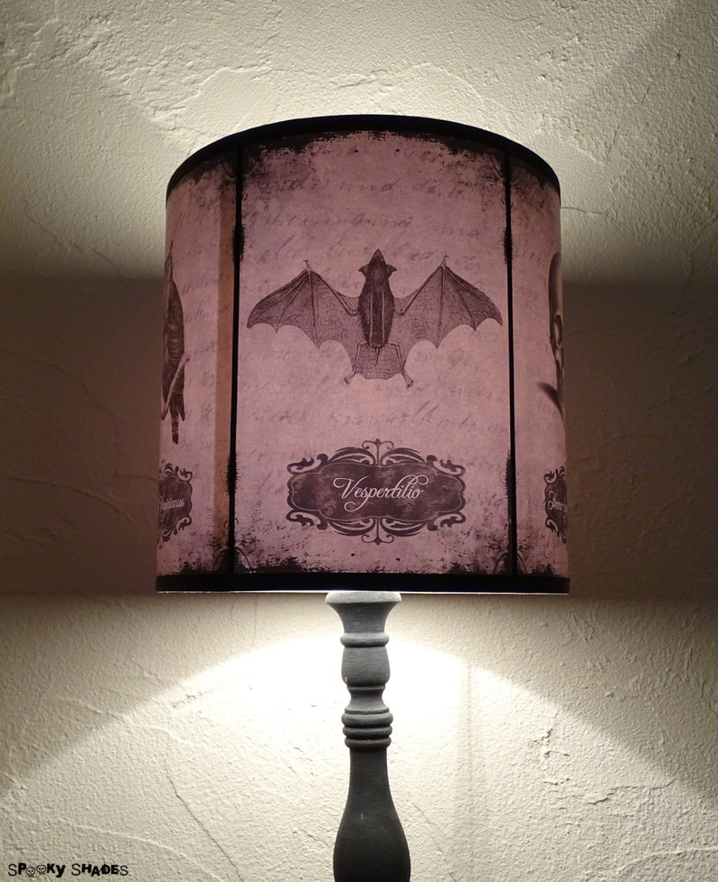 Skull lamp shade lampshade Halloween Curiosities skull lamp, cabinet of curiosities, Halloween decor,Gothic home decor, witch decor, wicca image 4