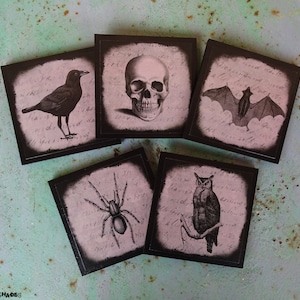 Abat jour pour lampe à poser gothique Halloween Curiosities corbeau, déco Halloween, cabinet de curiosités, wicca, Spooky Shades, taupe image 8