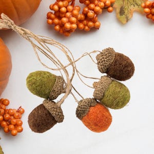Glands en feutre, glands, ensemble de plusieurs glands, décoration d&#39;automne, 5 glands en laine, décoration d&#39;arbre d&#39;automne, ornements de glands, glands de laine