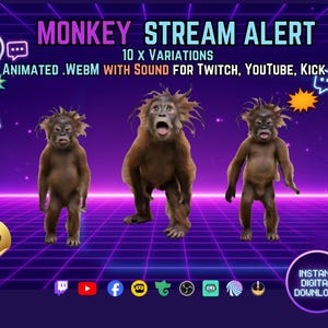 Puede incluir: Paquete de alertas de stream de mono con tres monos marrones sobre un fondo de cuadrícula morada. El texto incluye MONKEY STREAM ALERT, 10 X VARIATIONS, ANIMATED .WEBM WITH SOUND FOR TWITCH, YOUTUBE, KICK, FREE BONUS! ALERTS e INSTANT DIGITAL DOWNLOAD.