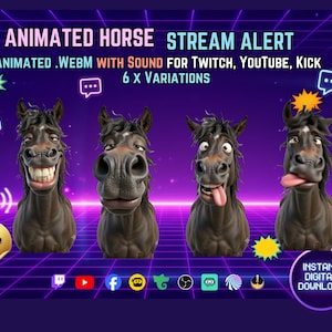May include: Four animated brown horse heads with varied facial expressions against a purple grid background. Text reads: ANIMATED HORSE STREAM ALERT, ANIMATED .WEBM WITH SOUND FOR TWITCH, YOUTUBE, KICK, 6 X VARIATIONS, FREE BONUS! ALERTS, INSTANT DIGITAL DOWNLOAD.