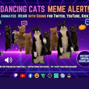 Meme-streamavisering för dansande katter | Animerad .WEBM Twitch-avisering med ljud | OBS- och Streamlabs-avisering | YouTube Kick-streamingöverlägg