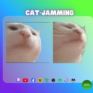 Pode incluir: Gráfico de download digital com o texto "CAT-JAMMING" acima de duas imagens de um gato branco. O gato tem uma expressão engraçada. Ícones de mídia social estão na parte inferior, com um selo de "DOWNLOAD DIGITAL".