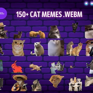 Puede incluir: Gráfico de descarga digital con el texto "150+ CAT MEMES .WEBM" sobre un fondo de pared de ladrillos morados. La imagen presenta varios memes de gatos, incluyendo gatos tocando la guitarra, conduciendo y usando sombreros.