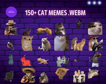 Funny Cat Meme  Dancing Cat Twitch Alert & Emote, Sassy Animated Stream Alert, Meme Overlay for Kick OBS, Dance Gift Transparent WEBM