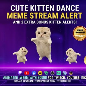 Söt danskattunge Stream-varning Animerad kattmeme Twitch-varning Kick, YouTube, TikTok Transparent WEBM-överlägg Stream-överlägg Tre katter dansar