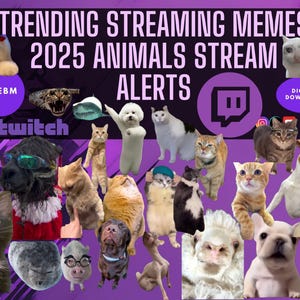 May include: A collage of funny animal memes with the text "Trending Streaming Memes 2025 Animals Stream Alerts" and the Twitch logo. The image includes a variety of animals, including cats, dogs, and a goat. The image is set against a purple background.