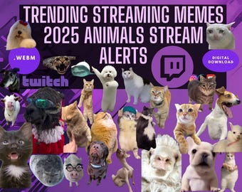 May include: A collage of humorous animal memes featuring the text "Trending Streaming Memes 2025 Animals Stream Alerts" and the Twitch logo. The image includes a variety of animals, such as cats, dogs, and a goat. The image is set against a purple background.