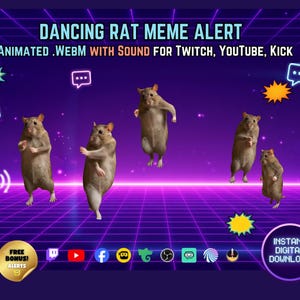 May include: A digital graphic featuring five brown rats in various dancing poses against a purple grid background. Text reads DANCING RAT MEME ALERT, ANIMATED .WEBM WITH SOUND FOR TWITCH, YOUTUBE, KICK, and INSTANT DIGITAL DOWNLOAD. Includes social media icons.