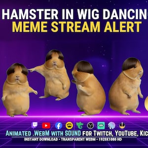 Hamster in Wig Dancing Meme Stream Alert | Transparent WEBM with Sound | Funny Twitch OBS Alert | Kick Streamlabs Overlay