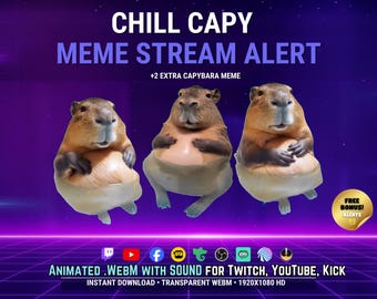 Chill Cap Capybara Meme Stream Alert WEBM med ljud | Capybara Twitch Alert Transparent OBS Overlay Rolig Stream Alert för Kick & YouTube