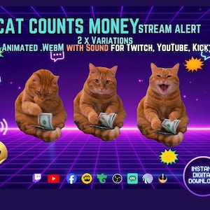 Cat Counts Money Stream Alert, Animated WebM With Sound, Twitch YouTube Kick Alert, Funny Cat Meme Donation Alert, Orange Black Cat