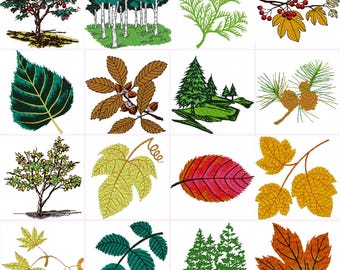 Leaves & Trees Autumn Spring  Digital Machine Embroidery Files Set of 16   Dst,Exp,Hus,Jef,Pes,Vip,Xxx . Fits 4 x4 Inch Frame