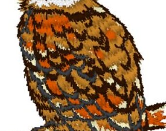 Uil Roofvogel borduurmachine patroon ontwerpbestand past op hoepel 4 x 4 inch (100 x 100 mm) Dst Exp Hus Jef Pes Vip Xxx